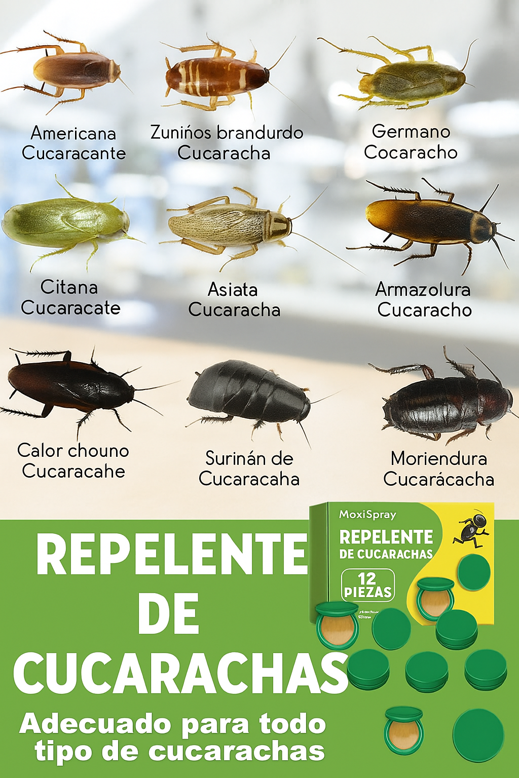 2x1 | Consigue un Hogar Libre de Cucarachas en Menos de 3 Días
