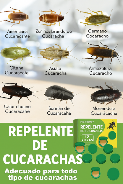 2x1 | Consigue un Hogar Libre de Cucarachas en Menos de 3 Días